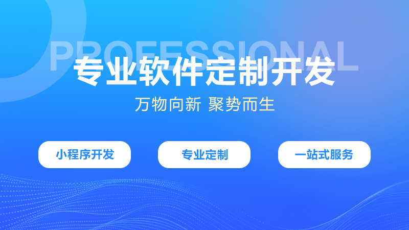 软件定制开发 软件定制开发